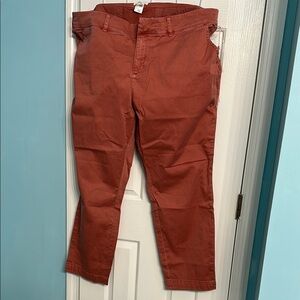 Caslon Brown Straight Leg Pants